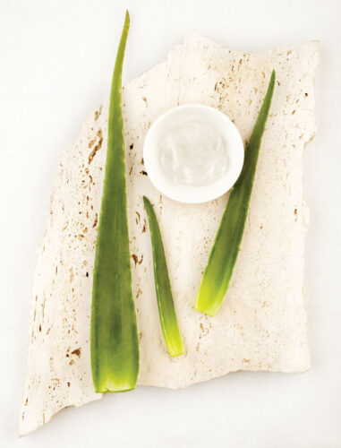 Building Your Natural First-Aid Kit: Herbal Skin Healers
